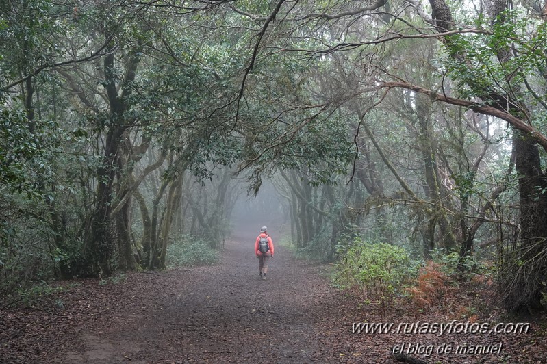 Sendero de los Sentidos - Sendero de los Enigmas