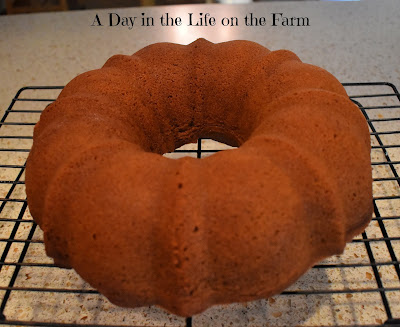 Root Beer Bundt