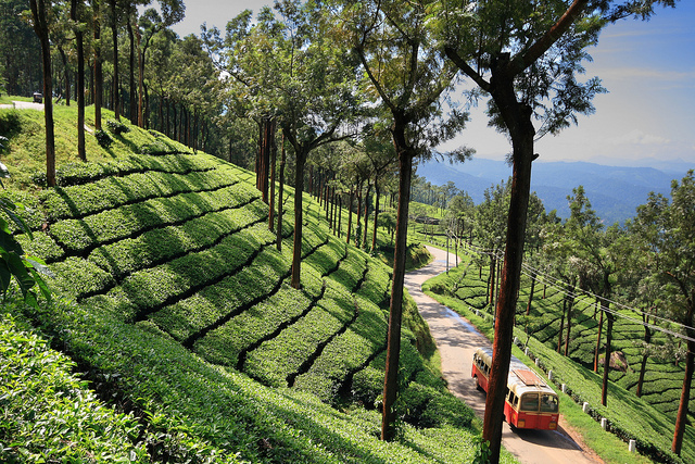 best place to stay in munnar for summer, places with coolest climate in munnar even for hottest summer season