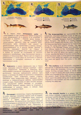 Рибите в Аквариума във Варна
