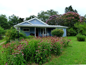 Lots of color in the front yard. 