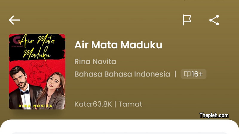 Novel Air Mata Maduku Full Chapter