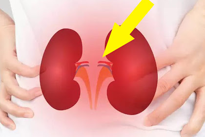 Vital Signs of Kidney Trouble You Shouldn't Overlook!
