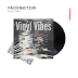 pacoinaction - Vinyl Vibes