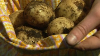 Potatoes from soil