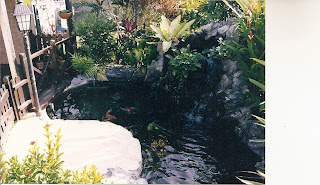completed concrete koi pond with waterfall