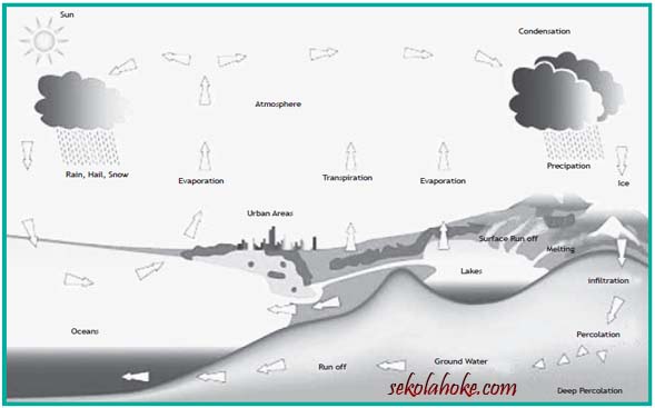 Narrative Text Full Materi Contoh Englishindo  Share The 