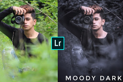 Download Dark Moody Lightroom Preset