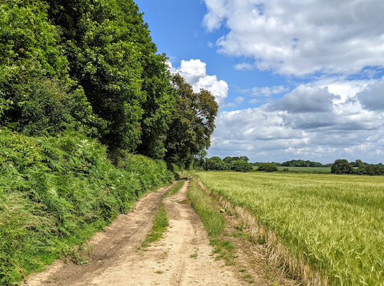 Great Gaddesden footpath 35 between points 4 & 5