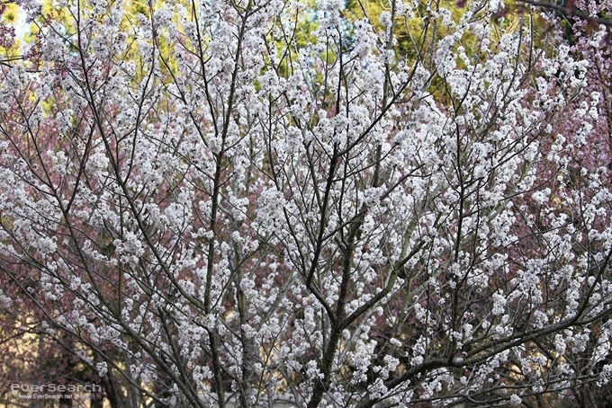 nEO_IMG_nEO_IMG_IMG_6949