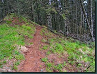 DSCN0868