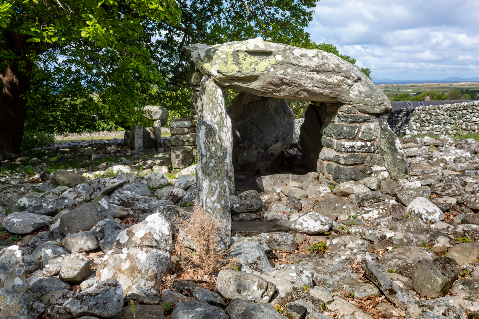 Dyffryn Ardudwy Burial Chamber