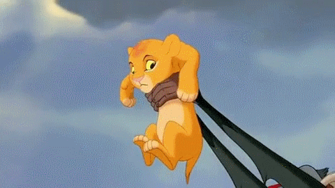 FILMES | As Minhas Músicas Favoritas de Rei Leão I e II da Disney