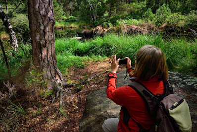 Stage photo forêt de Fontainebleau