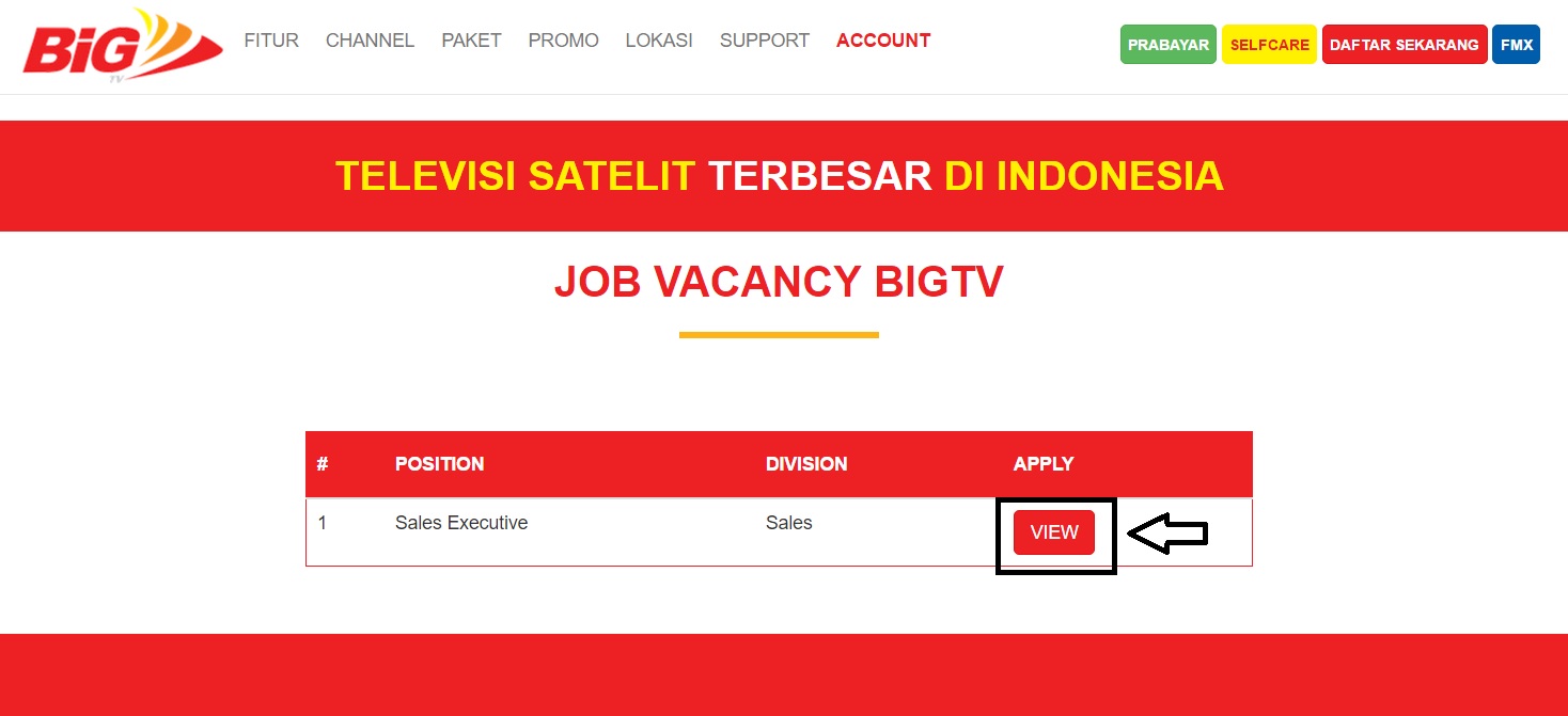 WALK IN Interview Dan Melamar Kerja Secara Online di Big 