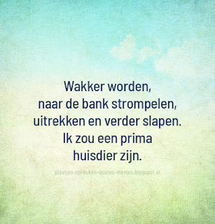 afbeeldingen met wijze quotes