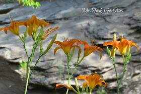 Lovely Lilies by Ms. Toody Goo Shoes