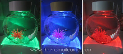 fish colored lights