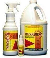 solution[2][3]