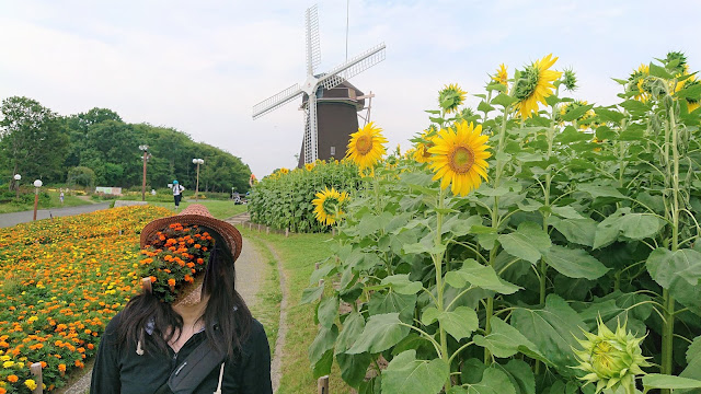 花博記念公園 風車