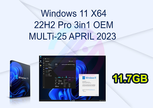 Windows 11 X64 22H2 Pro 3in1 OEM MULTi-25 APRIL 2023 