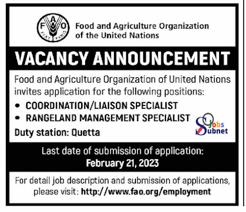 Food and Agriculture Organization FAO Vacancies 2023