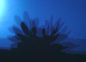 Shadow designs