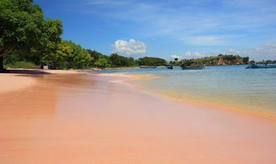 wisata Pantai Pink Lombok