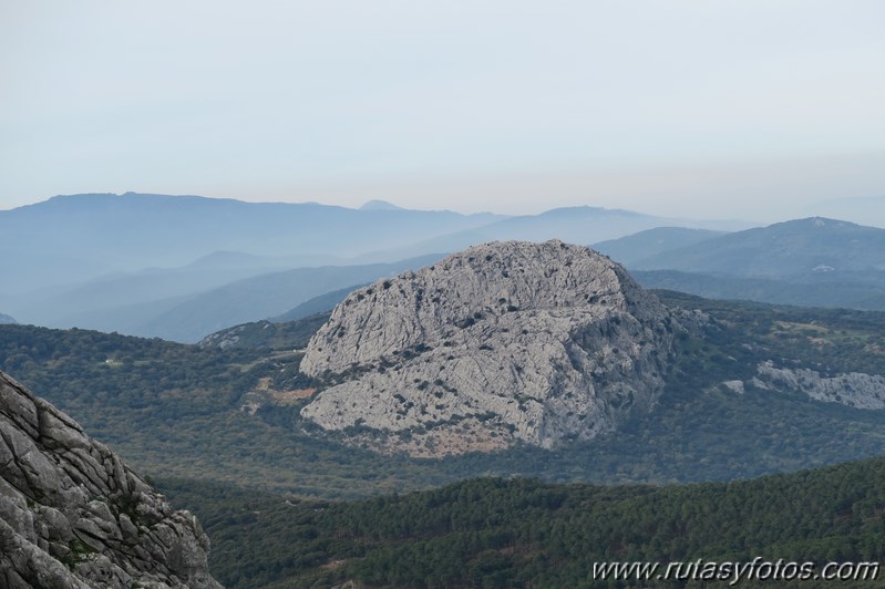 Sierra de los Pinos por las Pulgas