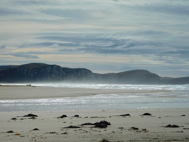 DSCN4089