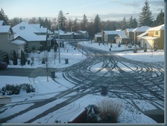 Snow in Everett, Washington in March