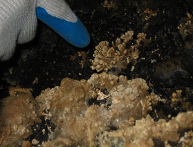 IMG_2770 IMG_2770