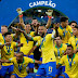 Brazil won the tournament by defeating Peru 3-1, Brazil was champion of CopaAmérica the five times he hosted.