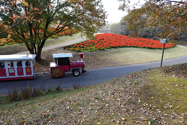 鳥取県西伯郡南部町鶴田 とっとり花回廊 花の丘