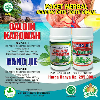 obat kencing batu,obat batu ginjal,cara menghilangkan kencing batu,obat penghancur batu ginjal