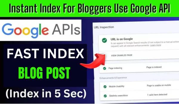 Instant Index For Bloggers Use Google API