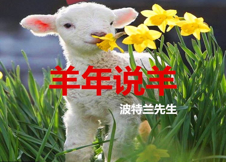 波特兰先生的博客 二月15 波特兰先生的博客 二月15