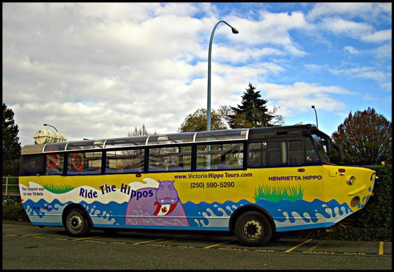 Canada, Toronto, floating bus, Harry Hippo, amphibious bus, Toronto Photos, Canada City, amfibusy, transportation in Toronto, sightseeing tours in Toronto, Toronto attractions