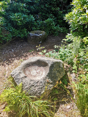 Killeagh Bullaun Stone, Cork