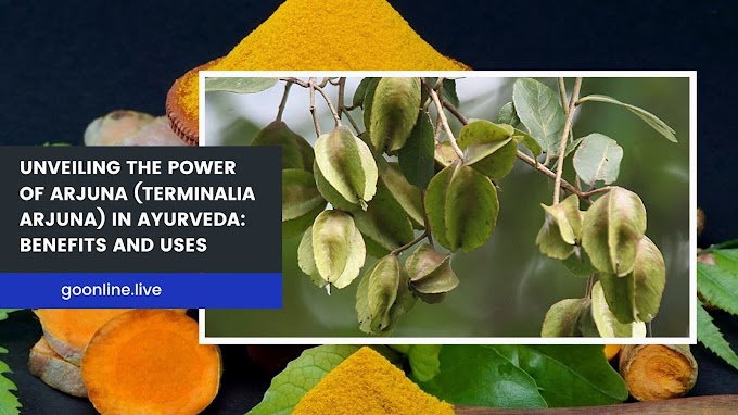 Unveiling the Power of Arjuna (Terminalia arjuna) in Ayurveda: Benefits and Uses