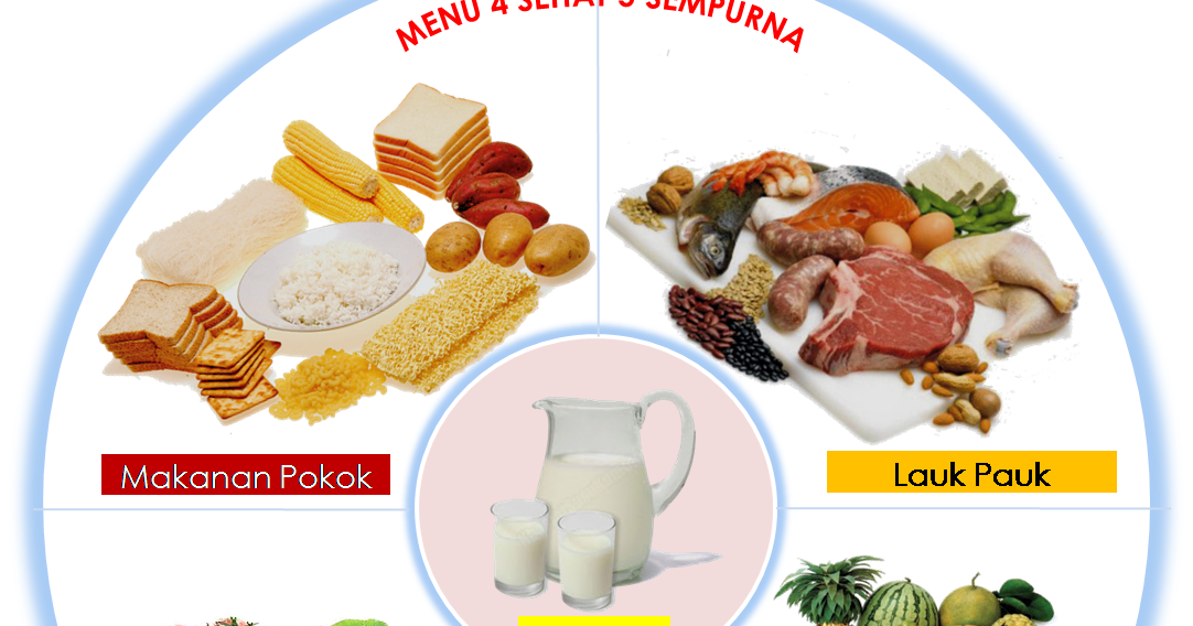 GAMBAR PIRAMIDA MAKANAN DAN 4 SEHAT 5 SEMPURNA  freewaremini