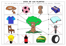 El Monstruito en Monteagudo: Las plantas VI: Usos varios.