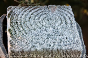 beautiful patterns made in a heavy frost in Cornwall