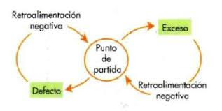 Retroalimentación