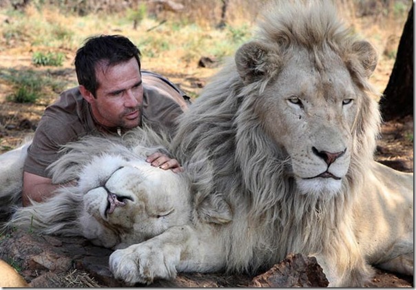 Kevin Richardson, O encantador de leões (6)