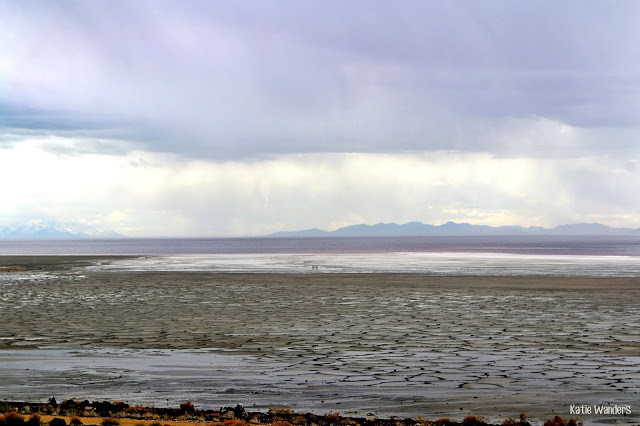 views of Great Salt Lake from Spiral Jetty