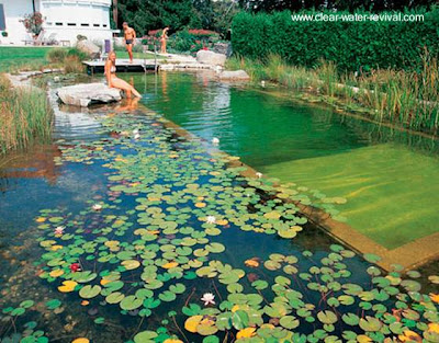 Piscina natural