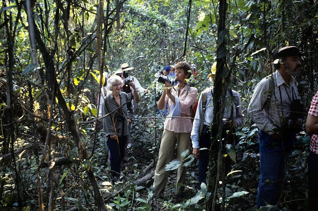 Bất chấp những bí ẩn còn tồn tại bên trong khu rừng, nhiều tour du lịch khám phá Amazon vẫn được tổ chức và thu hút khách tham dự. Giá một tour 2-4 ngày dao động khoảng 200 USD. Khi mua tour này, bạn sẽ được trải nghiệm cảm giác thám hiểm khu rừng đầy bí ẩn với hướng dẫn viên chuyên nghiệp. Thăm thú, tìm hiểu về cá sấu cũng như các sinh vật trong rừng cũng là điều khiến nhiều người thích thú.