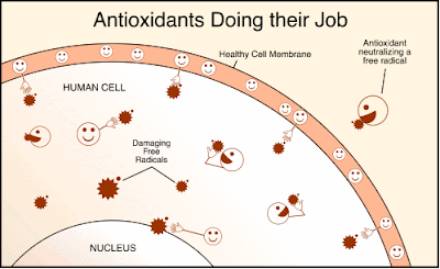 Antioxidant Supplements on Natural Sources Of Antioxidants