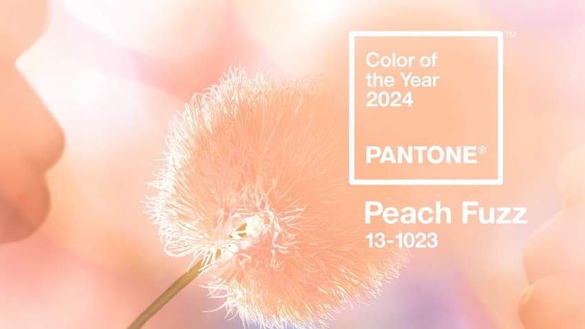 PANTONE COLOR OF THE YEAR 2024 "PEACH FUZZ" OUTFIT STYLING